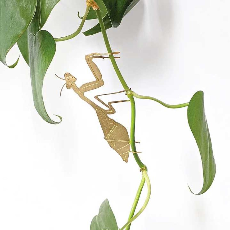 D Coration Another Studio | Another Studio — Animal De Plante : Insectes Et Reptiles